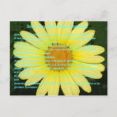 11月の興味深い事実 ポストカード (正面)