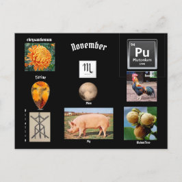 11月の蠍座 誕生月ポストカード ポストカード