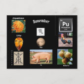 11月の蠍座 誕生月 ポストカード (正面)