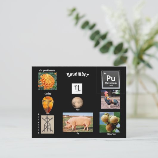 11月の蠍座 誕生月 ポストカード (スタンド正面)