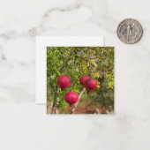 11月はザクロ月！ ノートカード (正面/裏面インサイチュ)