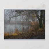 11月ツリーCC0310 ポストカード (正面)