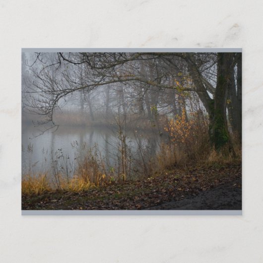 11月ツリーCC0310 ポストカード (正面)