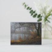 11月ツリーCC0310 ポストカード (スタンド正面)