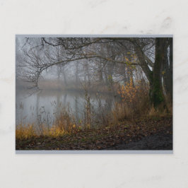 11月ツリーCC0310 ポストカード