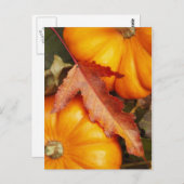 11月デザイン ポストカード (正面/裏面)