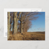 11月フィールドI ポストカード (正面/裏面)