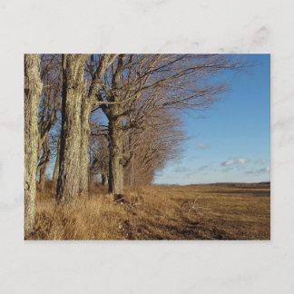 11月フィールドI ポストカード