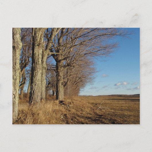 11月フィールドI ポストカード (正面)