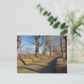 11月ロード ポストカード (スタンド正面)