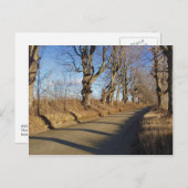 11月ロード ポストカード (正面/裏面)