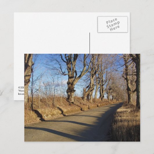 11月ロード ポストカード (正面/裏面)