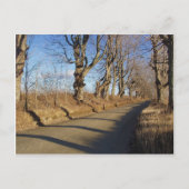 11月ロード ポストカード (正面)