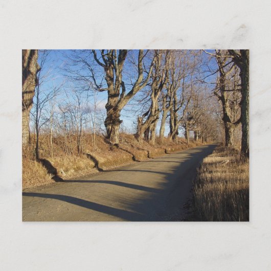 11月ロード ポストカード (正面)