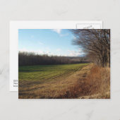 11月分野II ポストカード (正面/裏面)