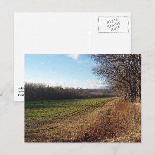 11月分野II ポストカード (正面/裏面)