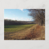 11月分野II ポストカード (正面)