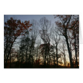 11月日没 (正面横)