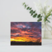 11月日没 ポストカード (スタンド正面)