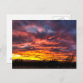 11月日没 ポストカード (正面/裏面)