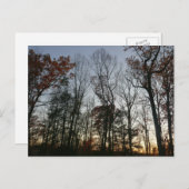 11月日没 ポストカード (正面/裏面)