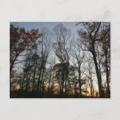 11月日没 ポストカード (正面)