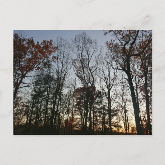 11月日没 ポストカード (正面)