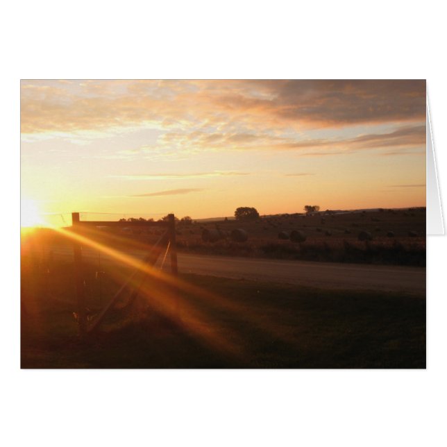 11月朝 (正面横)