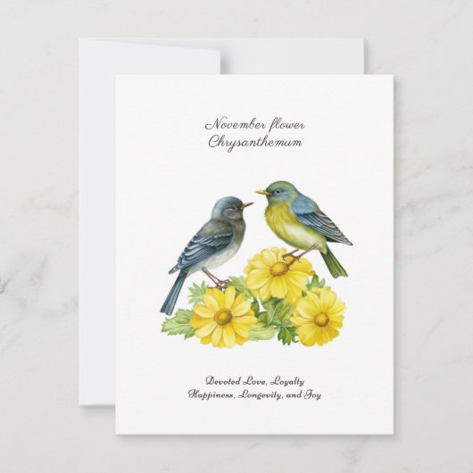 11月誕生月花菊 (正面)