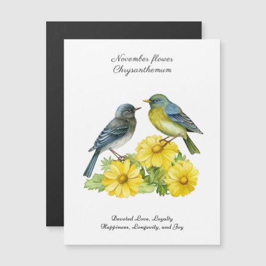 11月誕生月花菊 (正面/裏面)