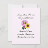 11月誕生月花菊 (正面)