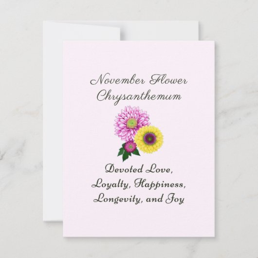 11月誕生月花菊 (正面)