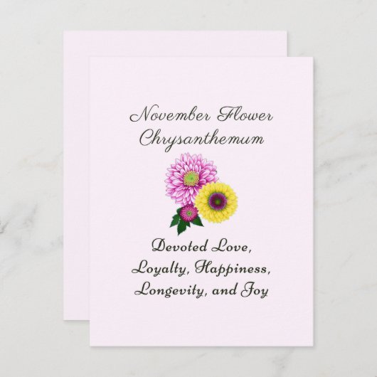 11月誕生月花菊 (正面/裏面)