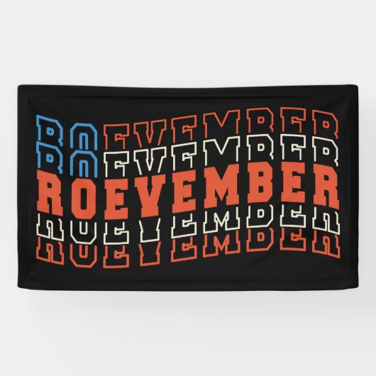 11月24日の選挙 横断幕 (横)