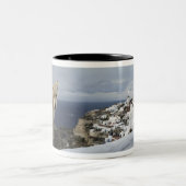 11月6日 ツートーンマグカップ (中央)