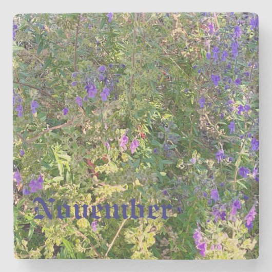 11月 ストーンコースター (正面)