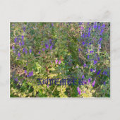 11月 ポストカード (正面)