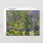 11月 ポストカード (正面/裏面)