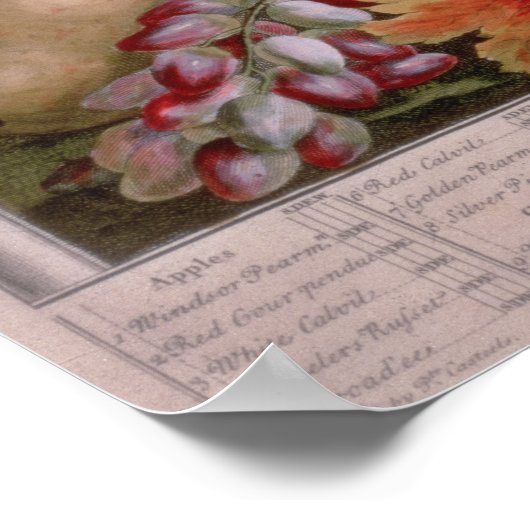 11月「12ヶ月の果実」 ポスター (角)