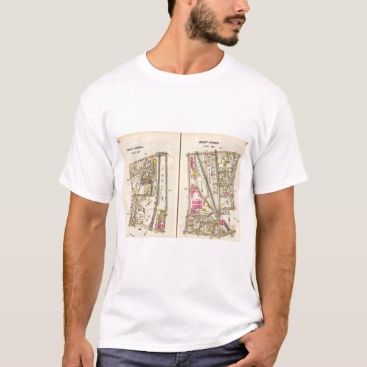 110111 Mtバーノン Tシャツ (正面)