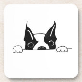 110 – ピーカブー・コースター コースター (正面)