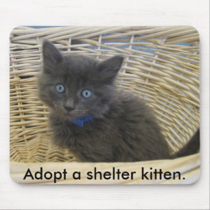 112907 petfinder 028は、避難所の子ネコを採用します マウスパッド