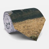 114580-R1-07-17A_008、430948-R1-20-4A_021 1145年… ネクタイ (ロール)