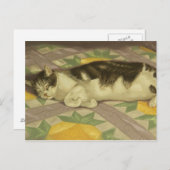 1149キャットオンキルトポストカード ポストカード (正面/裏面)