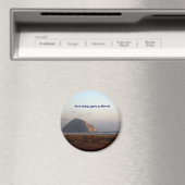 118、今日、モロに行った！ マグネット (インサイチュ (食洗機))