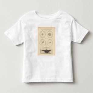 119の死の老齢期、下痢の病気1900年1890年 トドラーTシャツ