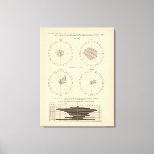 119老齢下痢性疾患1900、1890 キャンバスプリント (正面)