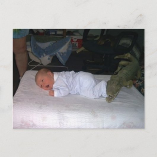 1190397 ポストカード (正面)