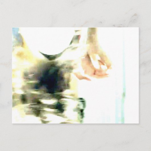 11 ポストカード (正面)