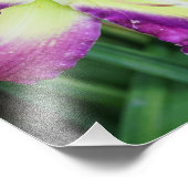 11"x14"デイリリー フォトプリント            (角)